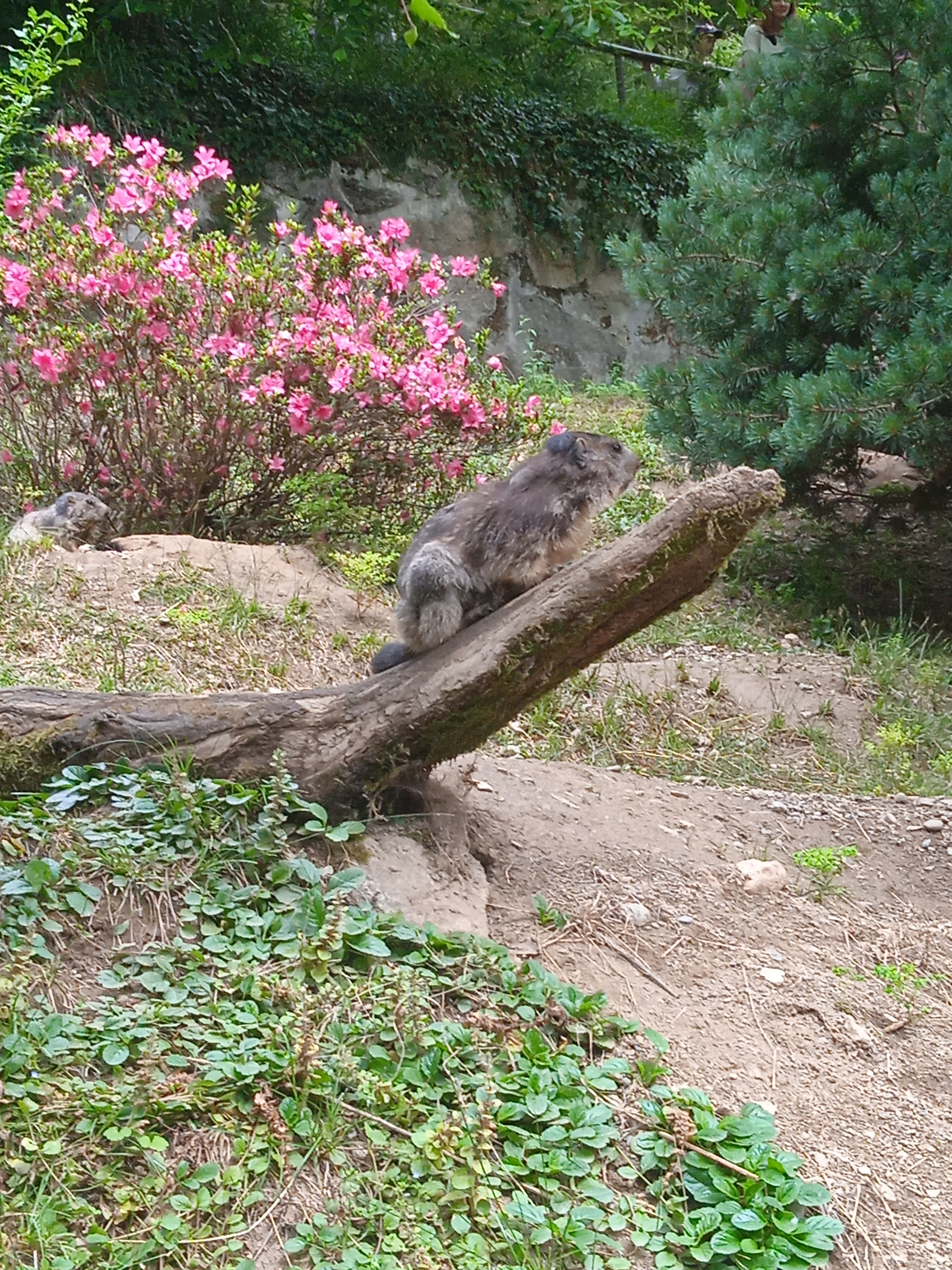 Photo n° 21 de l'avis de Gamer.p fait le 04/06/2022 à 18:21