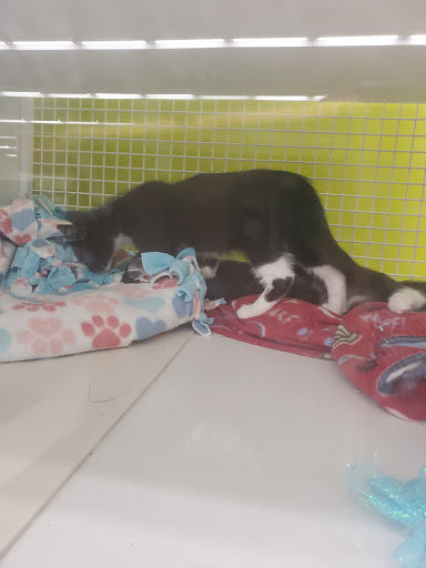 Pet Supply Store «Petco Animal Supplies», reviews and photos, 5481 Lone Tree Way, Brentwood, CA 94513, USA