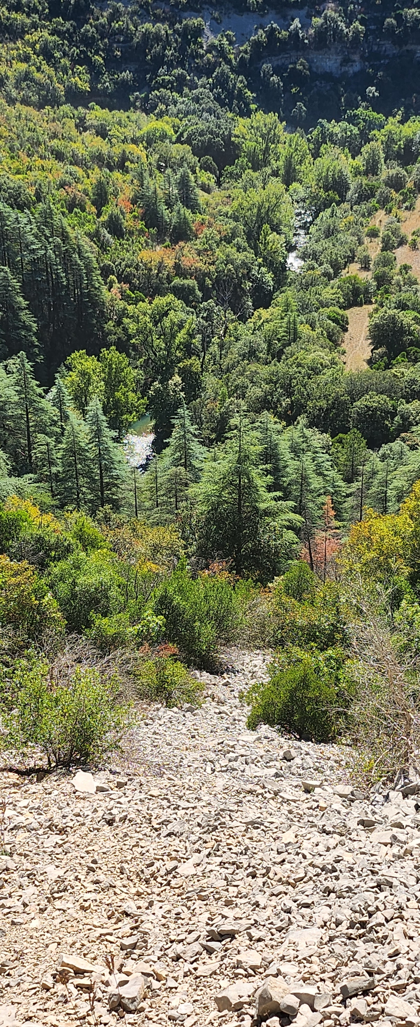 Photo n° 4 de l'avis de Olivier.A fait le 27/09/2023 à 17:54