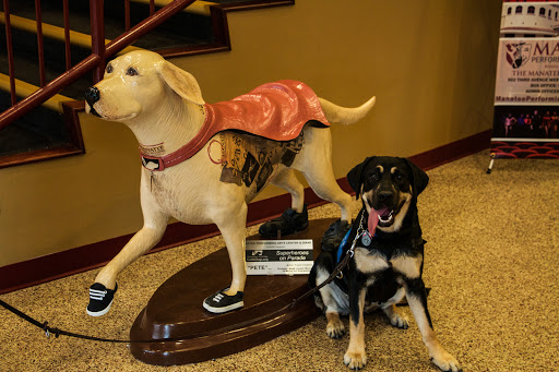 Performing Arts Theater «Manatee Performing Arts Center», reviews and photos, 502 3rd Ave W, Bradenton, FL 34205, USA