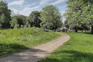 Clifton Flower Park image