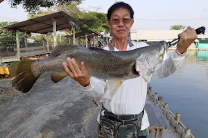 JJ Fishing บ่อตกปลาเจเจฟิชชิ่ง image