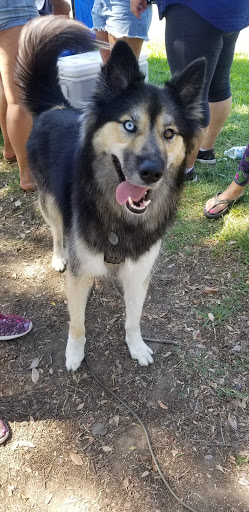 Park «Neff Park», reviews and photos, 14300 San Cristobal Dr, La Mirada, CA 90638, USA