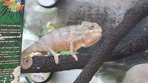 Pet Supply Store «Petco Animal Supplies», reviews and photos, 1337 N National Rd, Columbus, IN 47201, USA