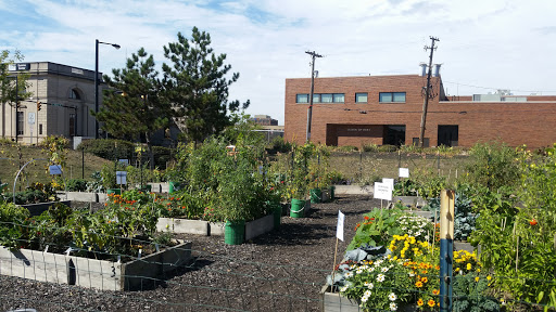 Homeless Shelter «Haven of Rest Ministries», reviews and photos