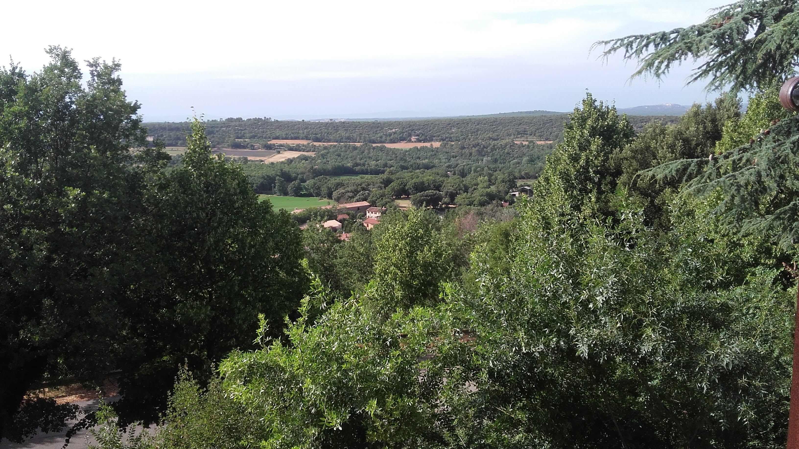 Photo n° 2 de l'avis de Chat.l fait le 09/07/2019 à 17:00