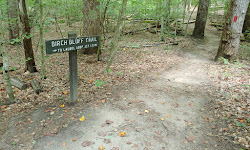 Laurel Loop Trail