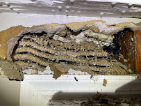 Top One Pest Control Rat Cockroach Ants Bedbugs Termite Rat Removal - Photo 5 - Car repair in , Manhattan