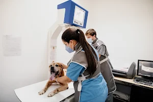 Rio Tinto Veterinary Clinic image