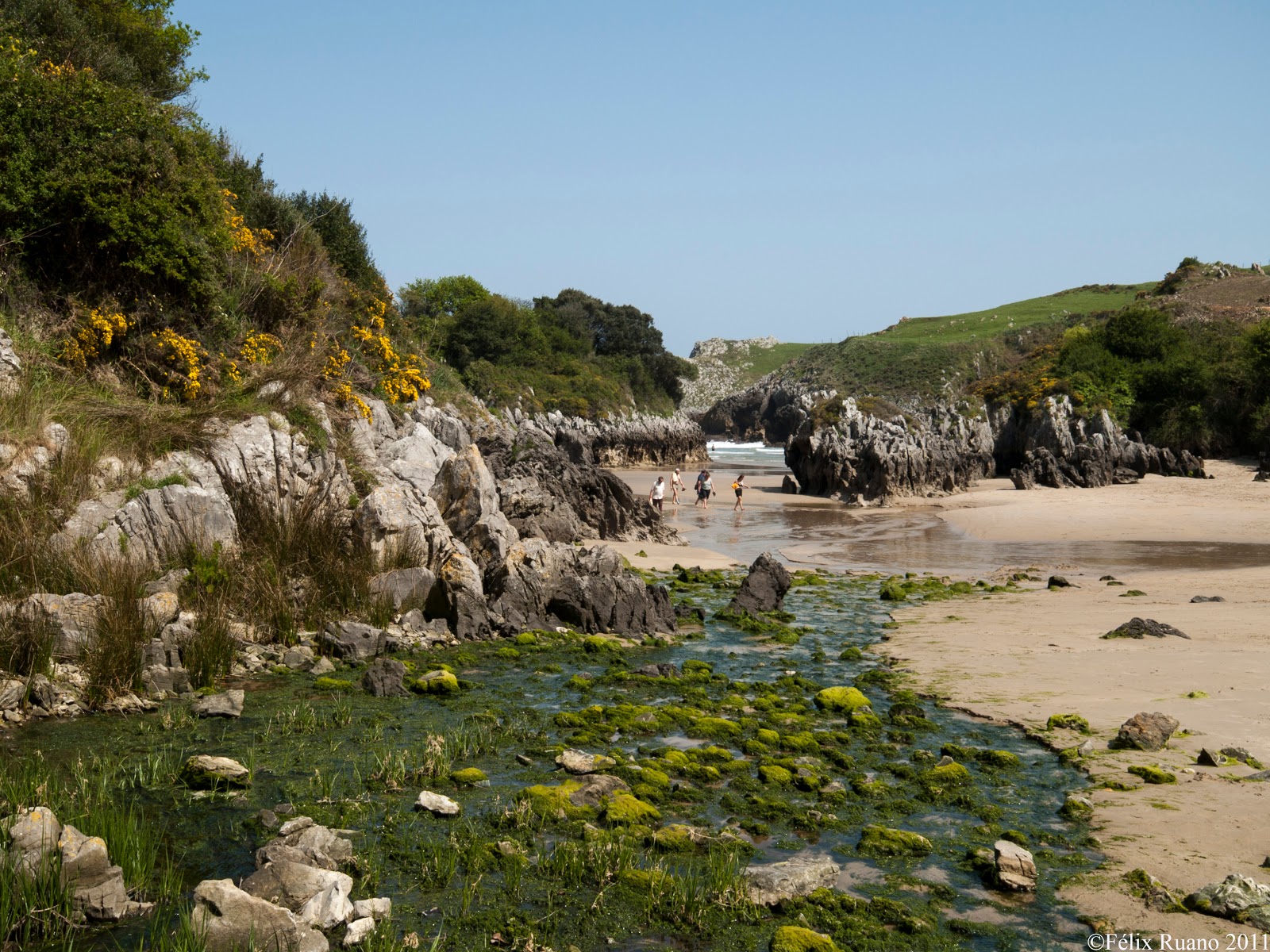 Photo of Prellezo Beach backed by cliffs