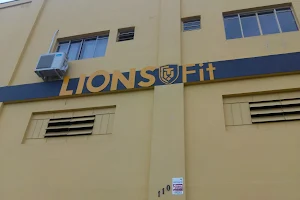 lions fit image