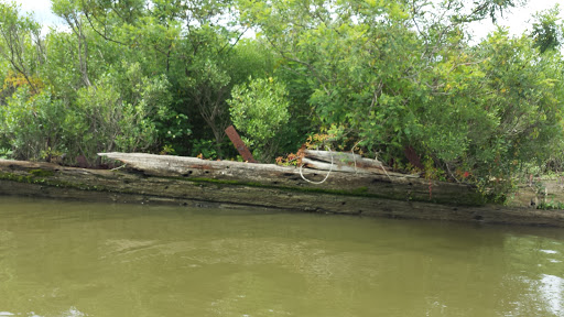 Tourist Attraction «Mallows Bay», reviews and photos, 1440 Wilson Landing Rd, Nanjemoy, MD 20662, USA