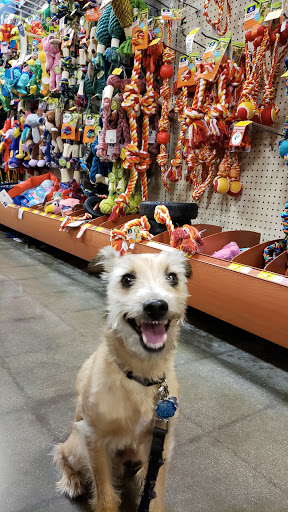 Pet Supply Store «PetSmart», reviews and photos, 860 NE Mall Blvd, Hurst, TX 76053, USA