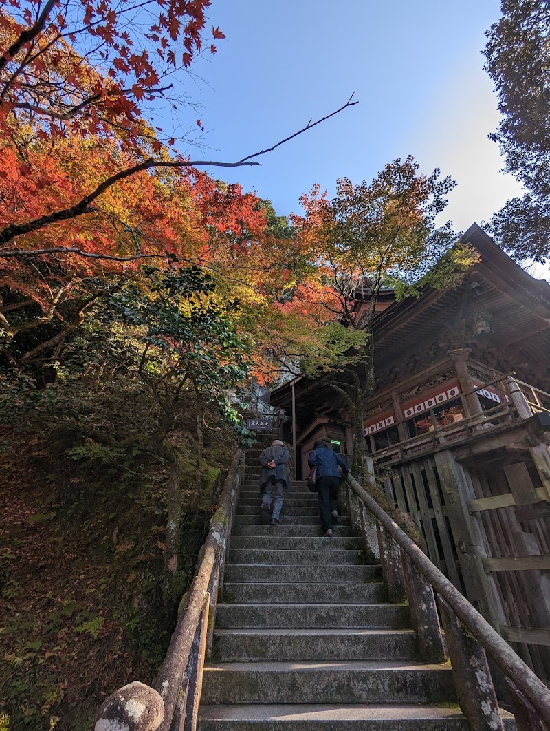 奇岩遊仙境