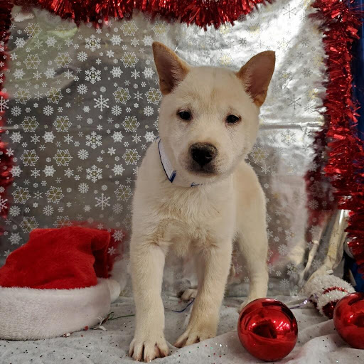 Pet Store «Fish Bowl Aquarium & Pet Mart», reviews and photos, 725 Providence St, West Warwick, RI 02893, USA