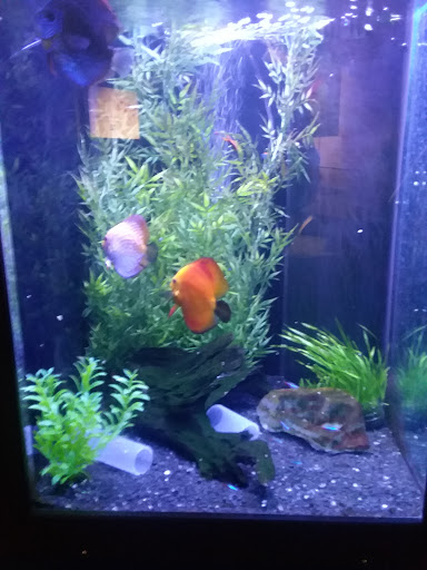 Science Museum «Discovery World», reviews and photos, 500 N Harbor Dr, Milwaukee, WI 53202, USA