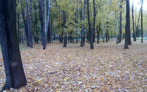 Perlovskiy park image
