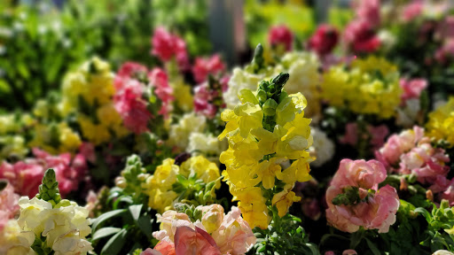 Home Improvement Store «The Home Depot», reviews and photos, 43900 Ice House Terrace, Fremont, CA 94538, USA