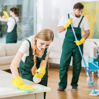 Expert Cleaners Chilliwack