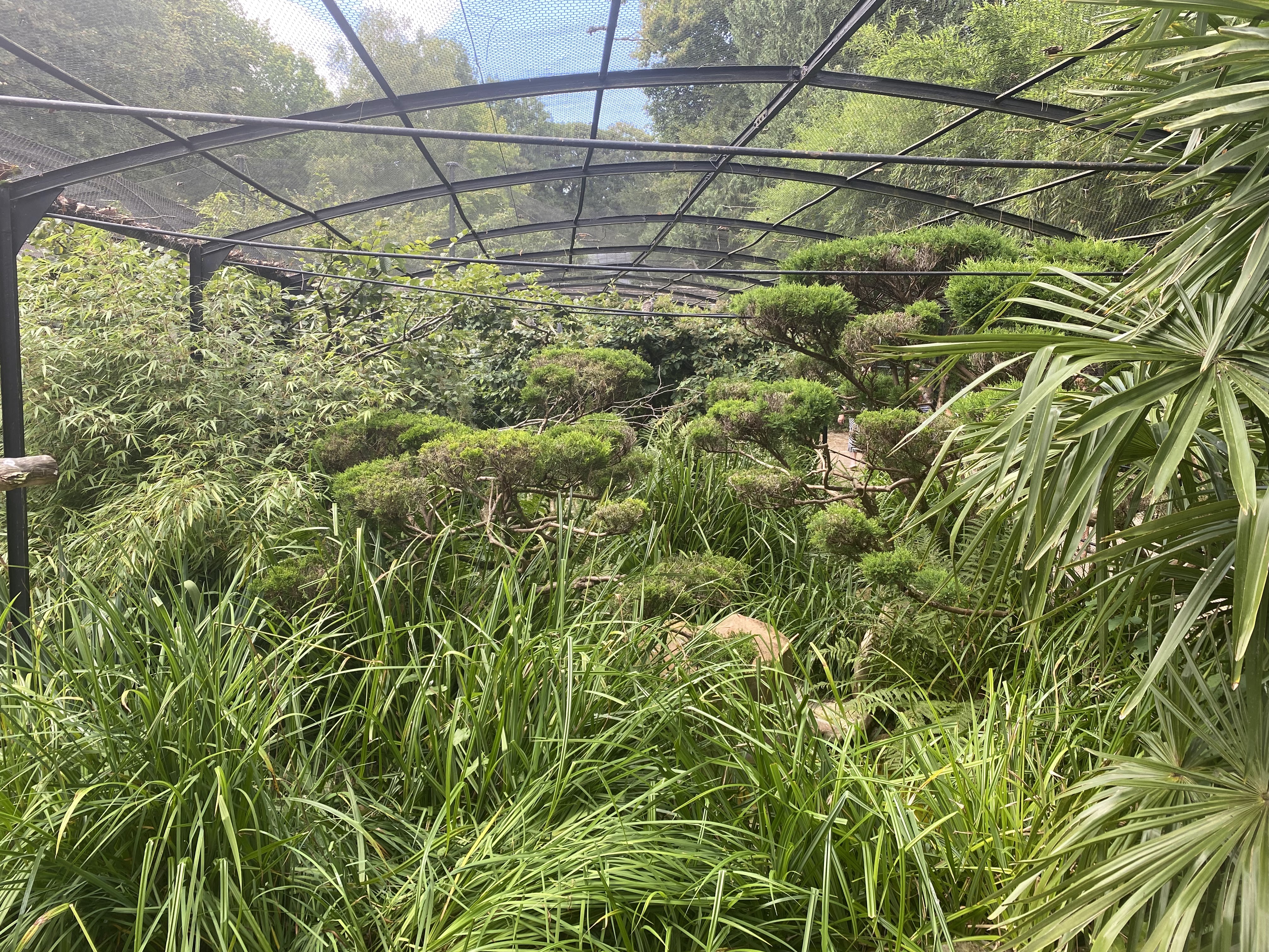 Photo n° 32 de l'avis de Mickael.e fait le 11/08/2023 à 05:54