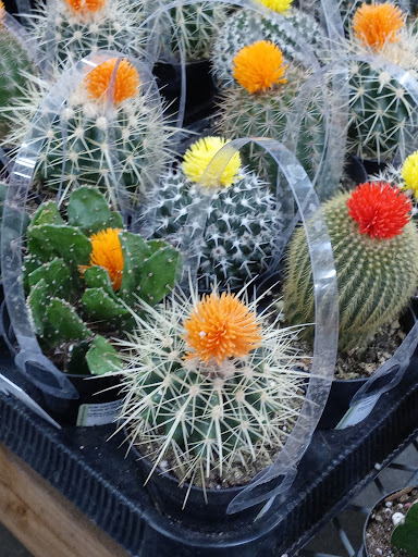 Home Improvement Store «The Home Depot», reviews and photos, 1200 Mayberry Dr, Highlands Ranch, CO 80129, USA