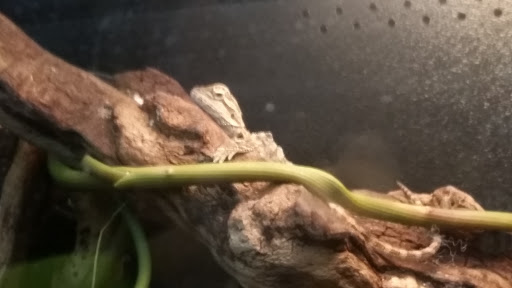 Pet Supply Store «PetSmart», reviews and photos, 7 U.S. 9, Manalapan Township, NJ 07726, USA