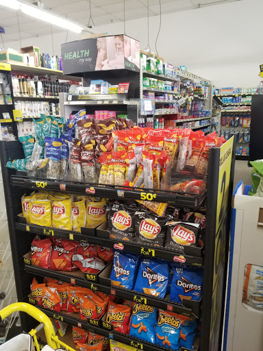 Discount Store «Dollar General», reviews and photos, 18451 US-41, Lutz, FL 33549, USA