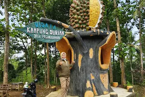Wisata Kampung Durian Pesanggrahan image