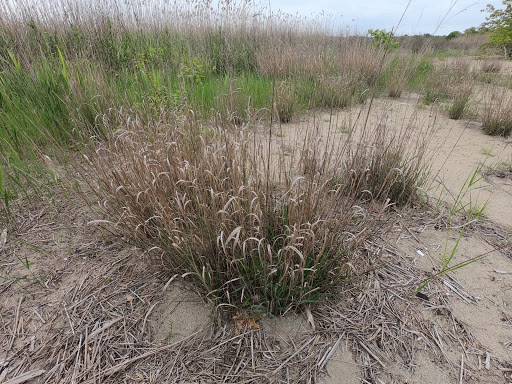 State Park «Dighton Rock State Park», reviews and photos, Bayview Ave, Berkley, MA 02779, USA