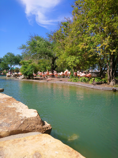 Water Park «Aquatica San Antonio», reviews and photos, 10500 Sea World Dr, San Antonio, TX 78251, USA