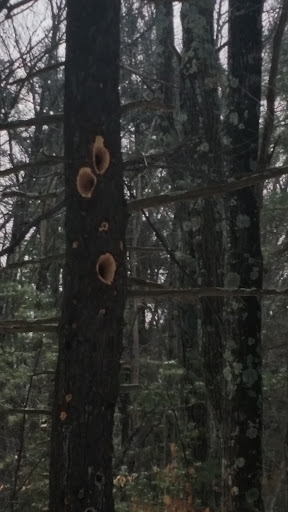 Park «Vietnam Veterans Park», reviews and photos, Treble Cove Rd, Billerica, MA 01821, USA