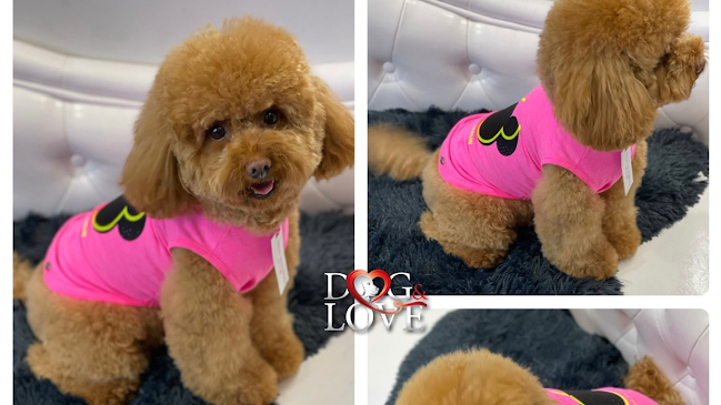 Toelettatura DOG & LOVE Boutique - Collegno