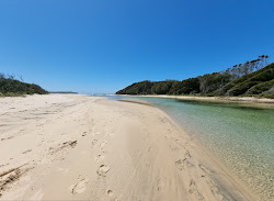 Handkerchief Beach'in fotoğrafı vahşi alan