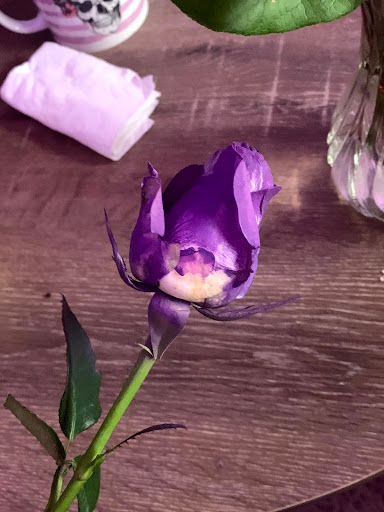 Florist «A Touch of Elegance Florist», reviews and photos, 360 S Franklin Ave, Belleville, NJ 07109, USA