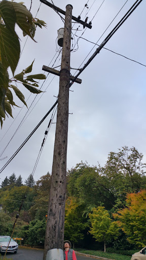 Park «Macleay Park», reviews and photos, NW 29th Ave & Upshur St, Portland, OR 97210, USA