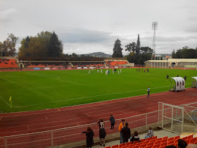 Estádio Municipal do Fontelo (Campo José Alves Madeira)