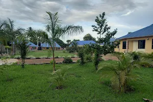 Blue Roofs Village Apartments image