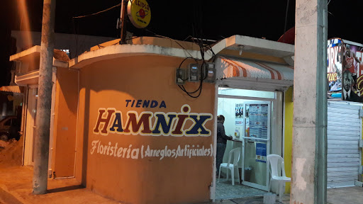 Tienda y Agencia Hipica Hamnix