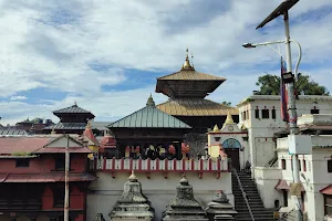 Pashupatinath Temple image