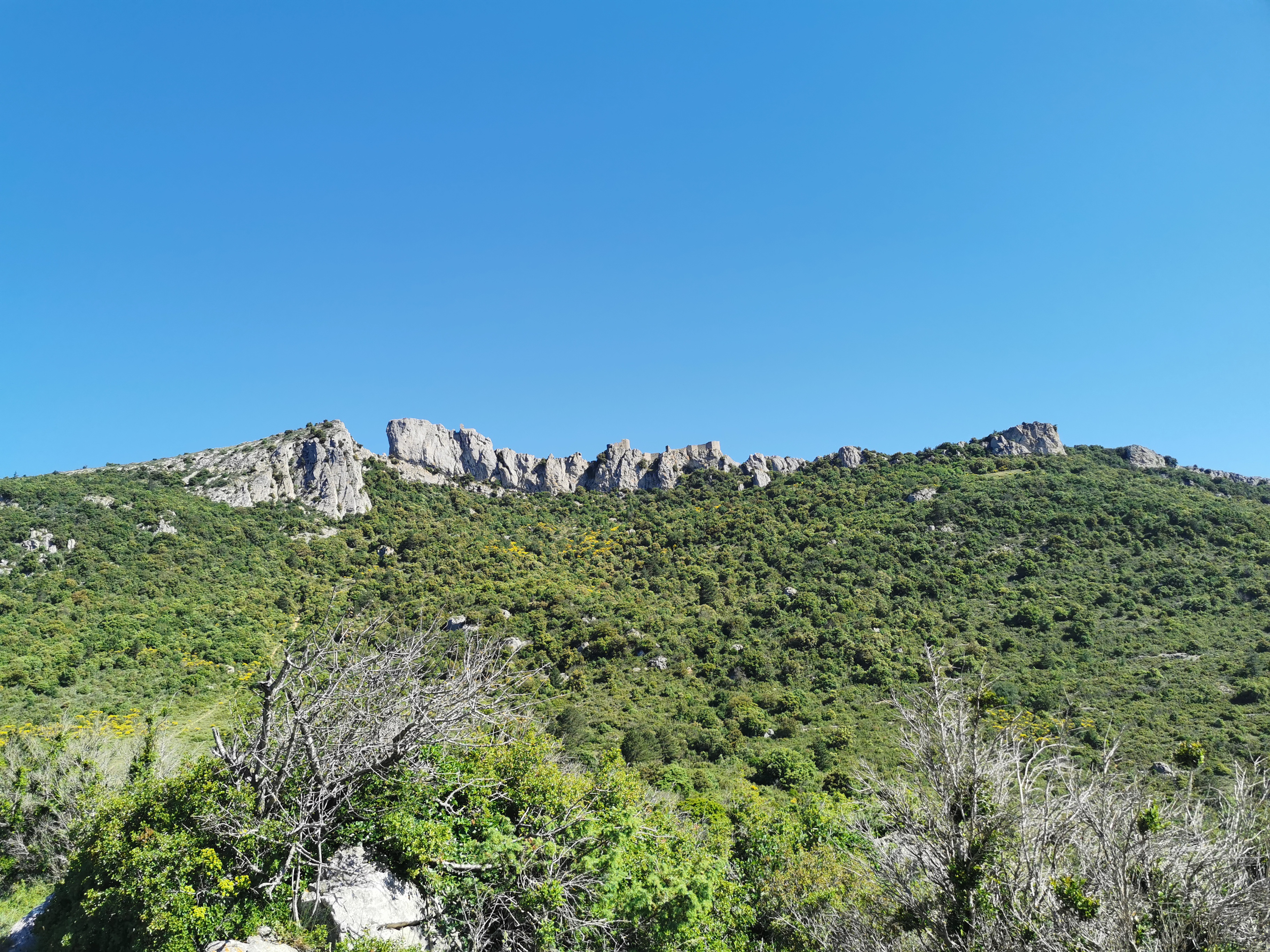 Photo n° 1 de l'avis de Chou.H fait le 29/05/2022 à 13:35