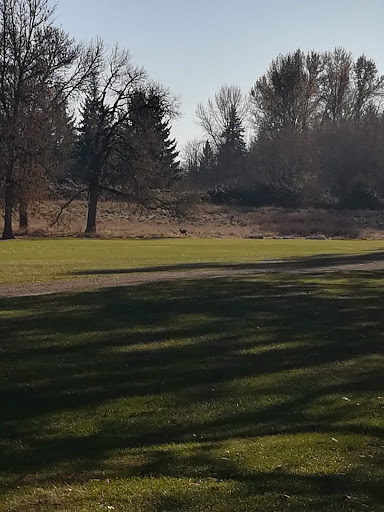 Golf Club «Meriwether National Golf Club», reviews and photos, 5200 SW Rood Bridge Rd, Hillsboro, OR 97123, USA