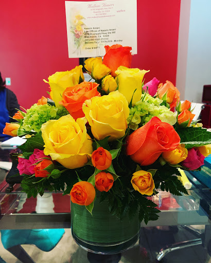 Immigration Attorney «Law Offices of Nassim Arzani», reviews and photos