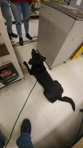 Hardware Store «Tele-Tron Ace Hardware», reviews and photos, 6604 Cermak Rd, Berwyn, IL 60402, USA