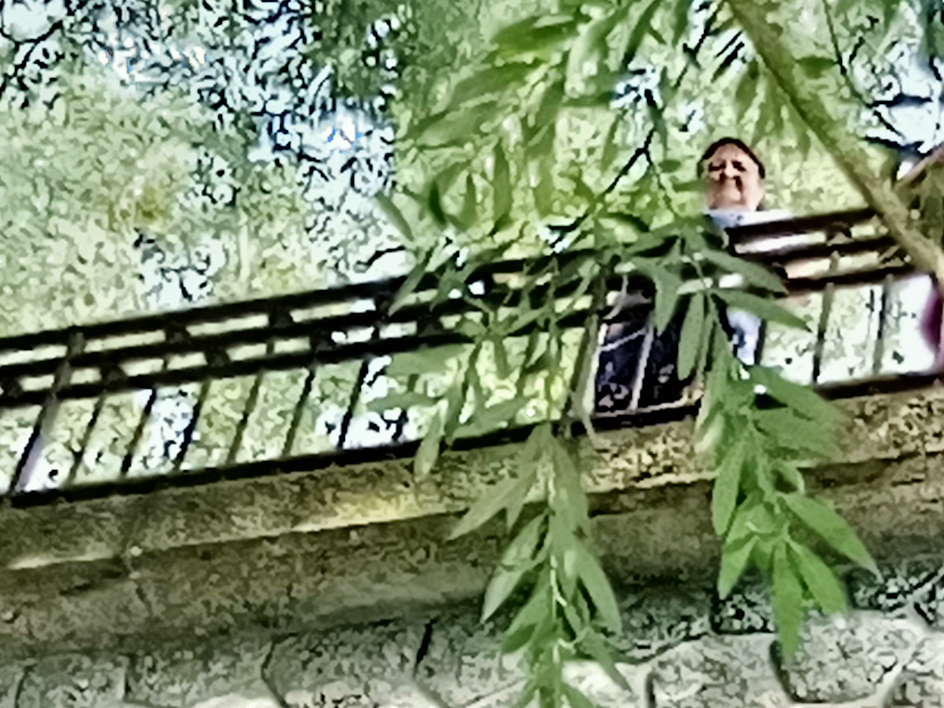 Photo n° 14 de l'avis de Jean-Luc.a fait le 15/09/2021 à 08:33