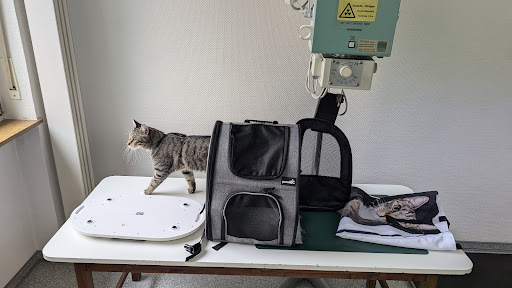 Dr. med. vet. Hans Peter Bast, Tierarztpraxis unter Koblenz, Rheinland-Pfalz