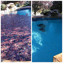 Holt Commercial Pool and Fitness - Photo 4 - Car repair in Eugene, OR, Eugene