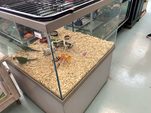 Pet Store «Wet Pets N Critters», reviews and photos, 103 TX-281 Loop, Longview, TX 75605, USA