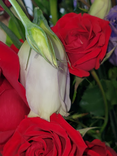 Florist «Sophias Flowers & Gifts», reviews and photos, 1765 Lee Trevino Dr # C, El Paso, TX 79936, USA