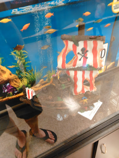 Pet Supply Store «PetSmart», reviews and photos, 1846 Wentzville Pkwy, Wentzville, MO 63385, USA