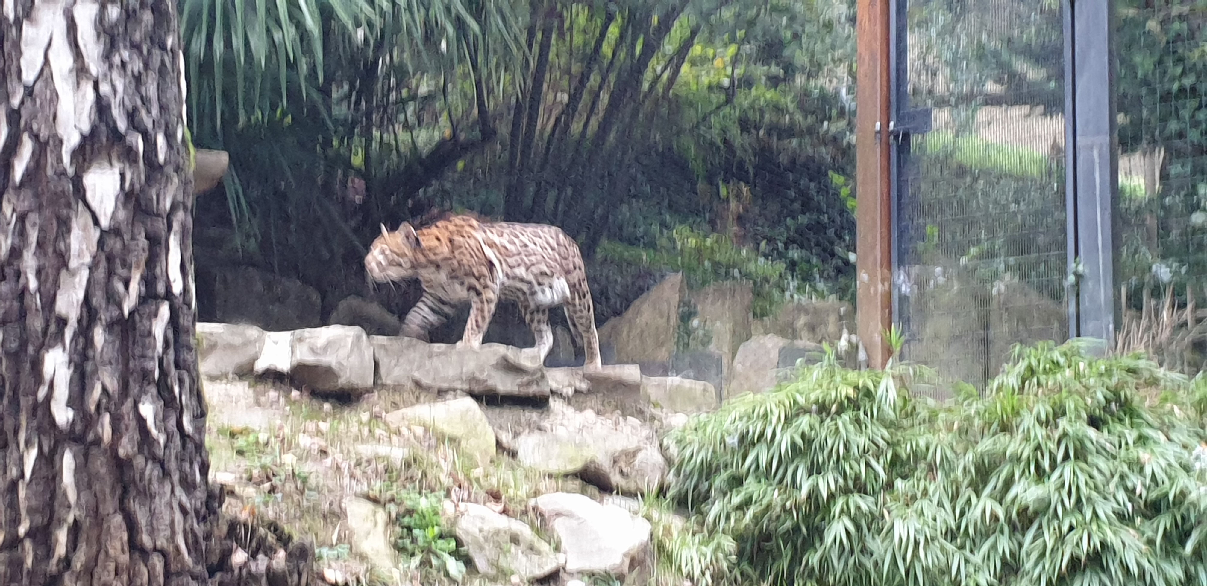 Photo n° 5 de l'avis de Maïwenn.E fait le 01/11/2023 à 12:52